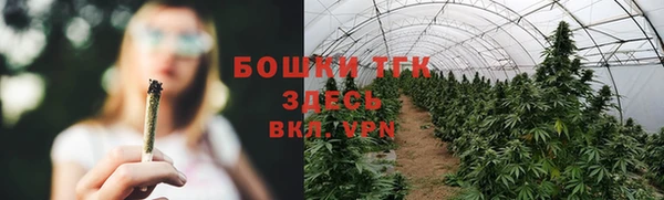 бошки Алексин