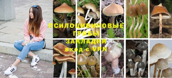 бошки Абаза
