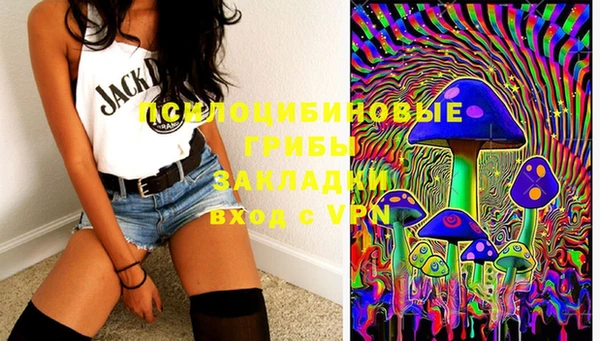 бошки Абаза